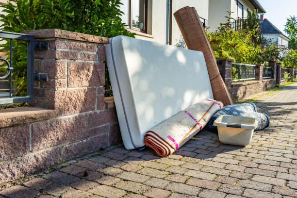 Yard Cleanup Services in New Hope, OR